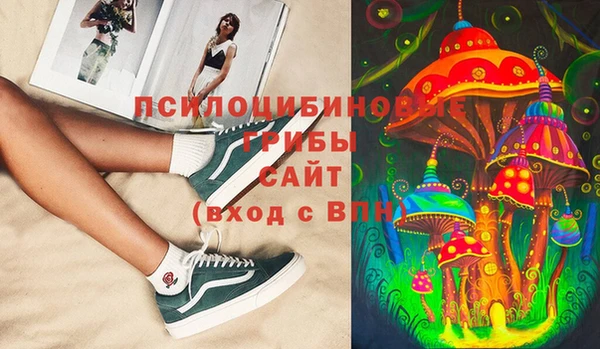 прущий лед Нея