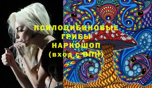 прущий лед Нея