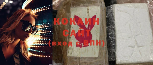 хмурый Новозыбков
