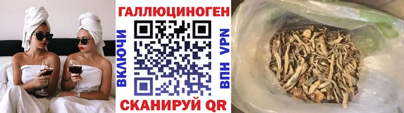 Галлюциногенные грибы Psilocybe  ссылка на мегу как зайти  Суровикино  купить  сайты 