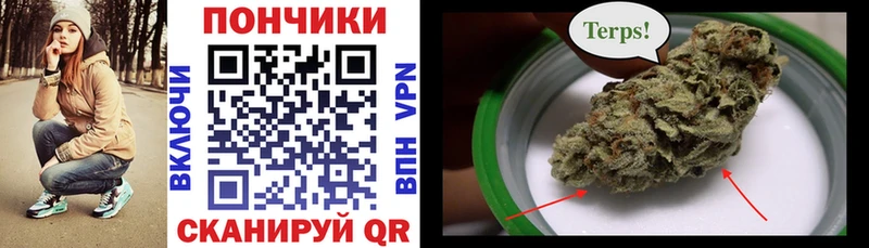 продажа наркотиков  Суровикино  Конопля марихуана 